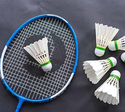 有关赛道安 有关赛道安