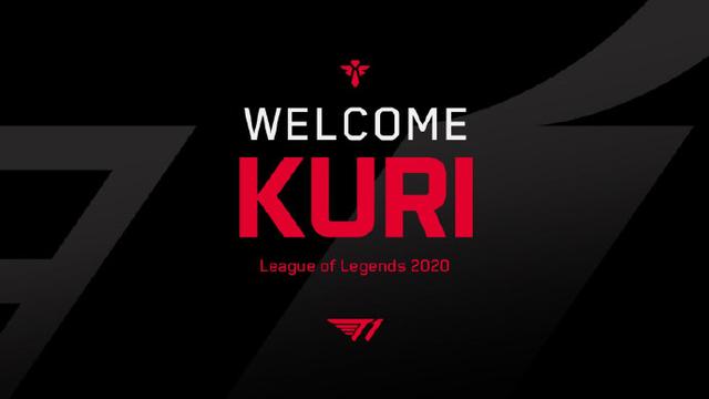 为他的执教 为他的执教